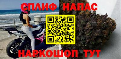 PSILOCYBIN Малоярославец